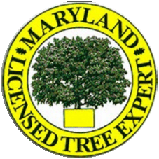 Maryland Licensed Tree Expert certification seal held by Bayside Tree and Landscape