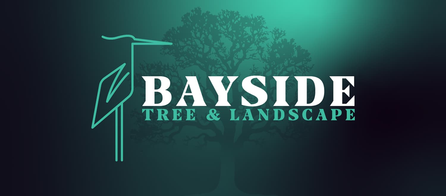 Bayside Tree and Landscape — Eastern Shore's Tree & Landscape Experts