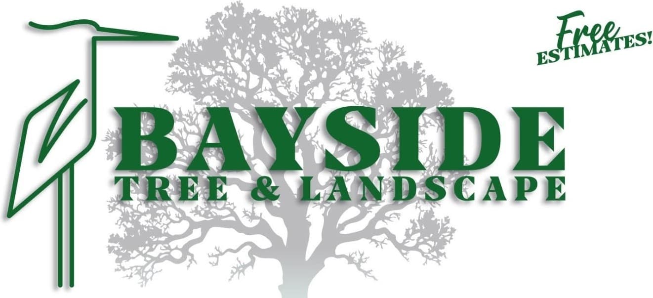 Bayside Tree and Landscape — free estimates