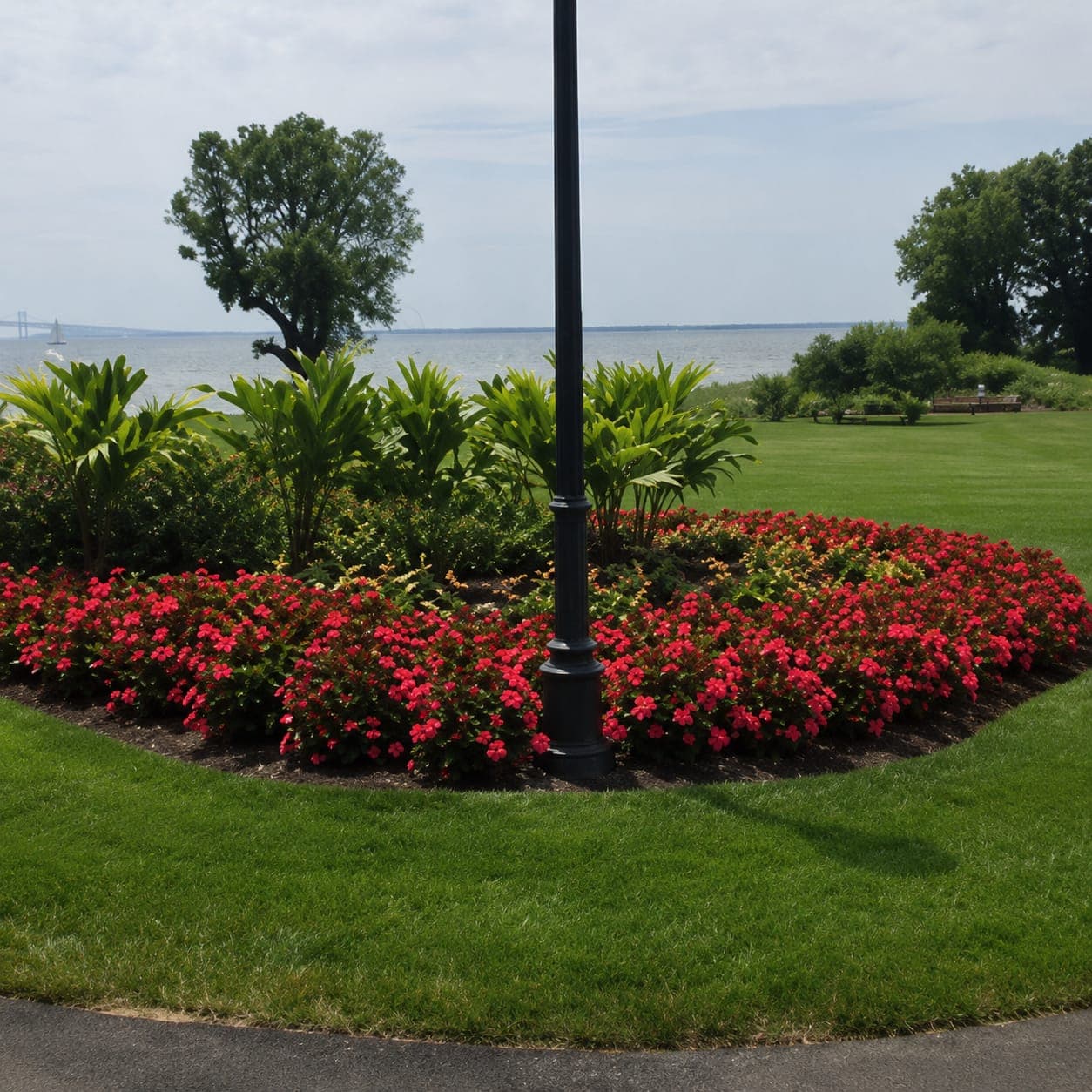 Waterfront flower bed and manicured lawn near the Chesapeake Bay
