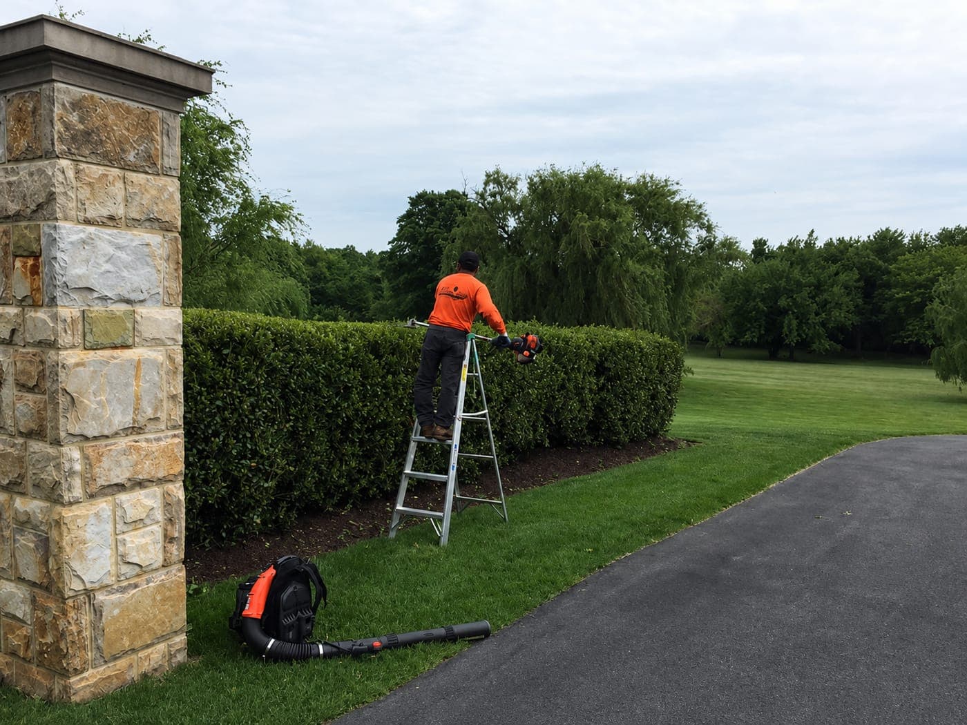 Bayside technician shaping a boxwood hedge at a stone-pillar driveway entrance