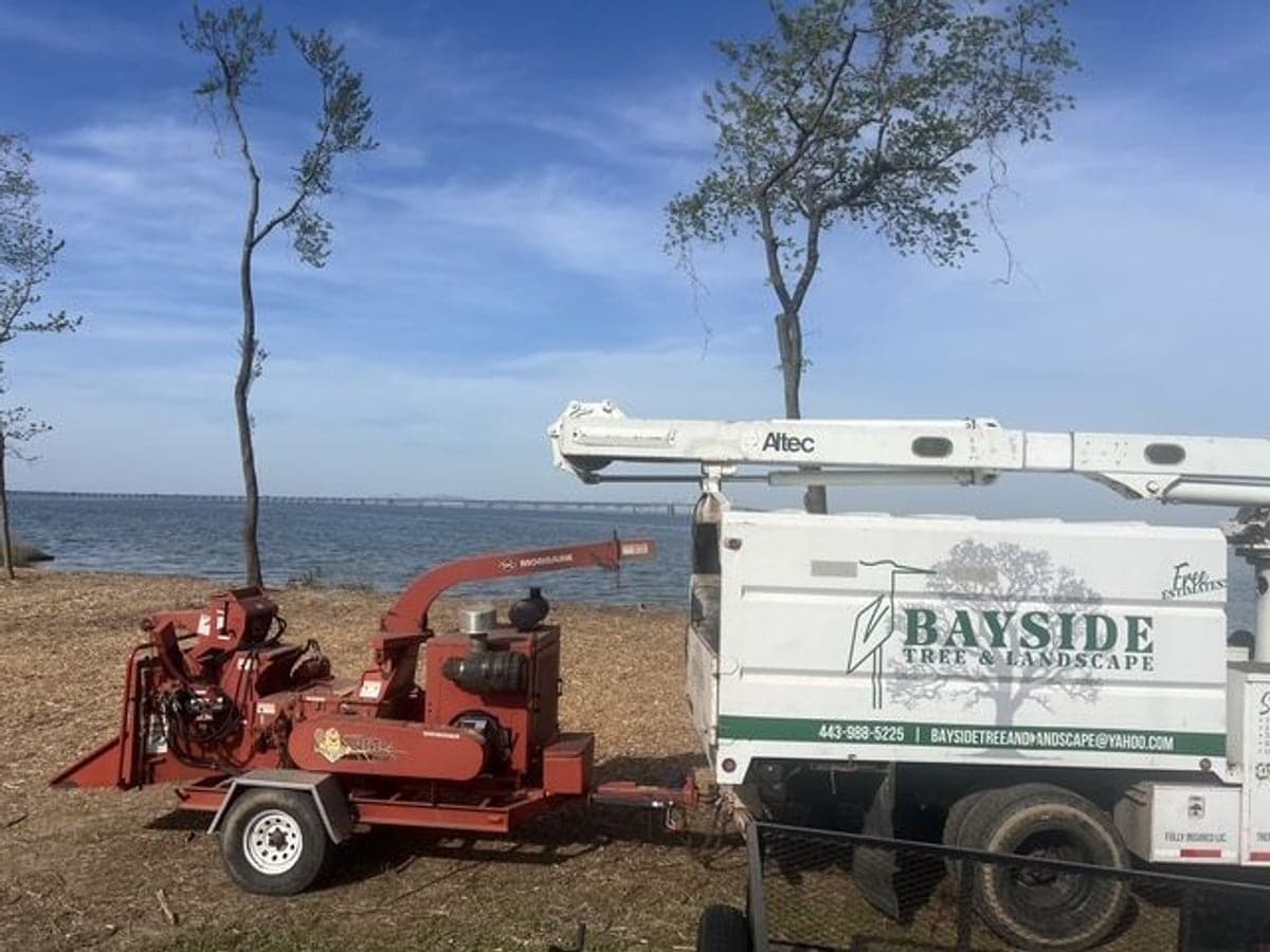Bayside Tree and Landscape bucket truck and wood chipper staged along the Chesapeake Bay shoreline with the Bay Bridge beyond