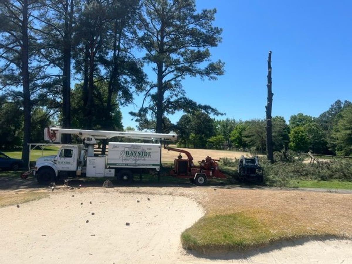 Bayside crew removing a large tree with a bucket truck and wood chipper at an Eastern Shore property