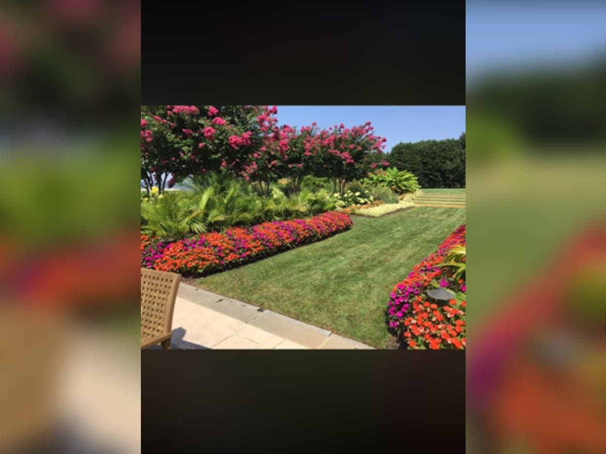 Vivid layered flower beds in full bloom along a manicured Eastern Shore garden