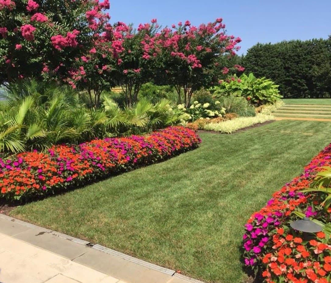 Layered flower beds with crepe myrtles and bright annual borders installed by Bayside Tree and Landscape