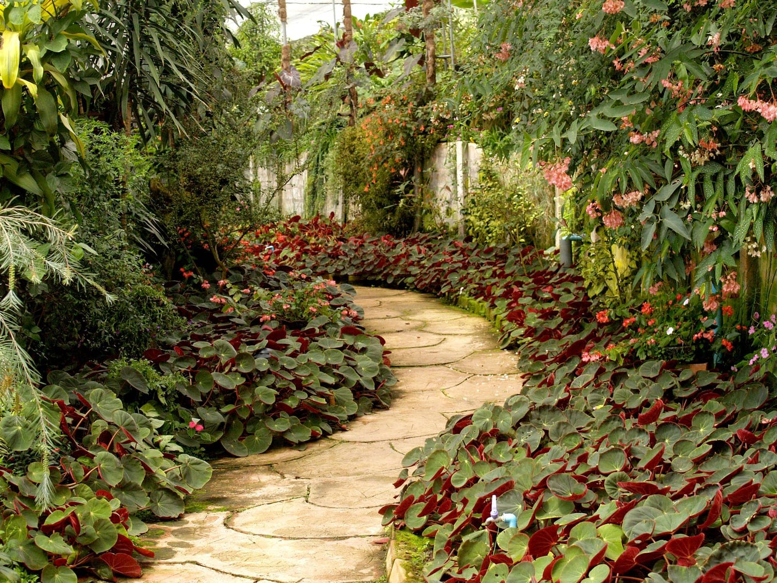 Landscape Design & Installation by Bayside Tree and Landscape on Maryland's Eastern Shore